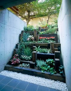 Kebun-indoor-sederhana